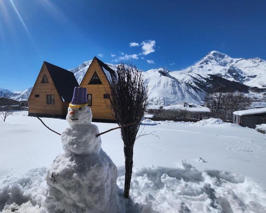 Via Kazbegi Villa ภายนอก รูปภาพ